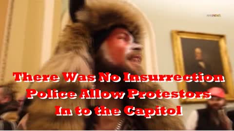Capitol Protest - There was no Insurrection - Police Allowed Protestors to Enter Peacefully