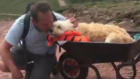 Hombre lleva a su perrito moribundo a su montaña favorita en una carretilla