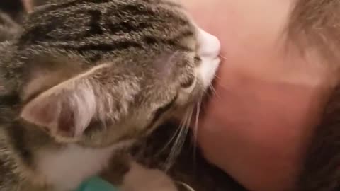 Adorable gatita llamada Sweetie confunde al ojo de su dueña con su mamá