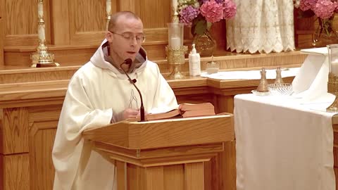 Our Lady of Mt Carmel, Hope in our Times - Jul 16 - Homily - Fr Ignatius