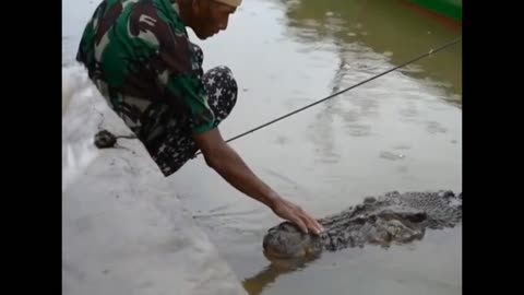 pet crocodile? 🐊😱😱😱