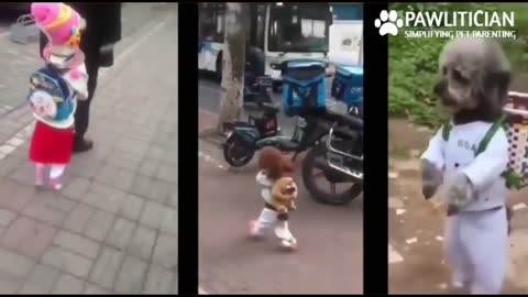 Dogs Tortured to Walk Like Humans