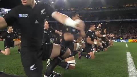 The Greatest Haka Ever ?