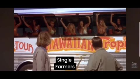 why are some many farmers single