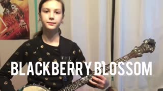 Blackberry Blossom by Norman Blake