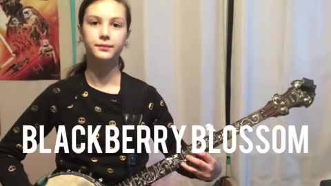 Blackberry Blossom by Norman Blake