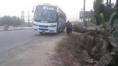 Drivar dippar with bus lover