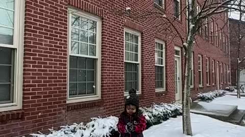 Snowfall in New haven USA🇺🇸