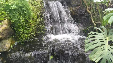 Waterfall beutiful nature popular video