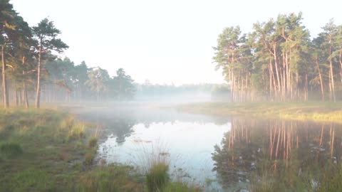 Nature view with relaxing music