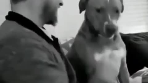 Funny Dog Moments 🐶 Complation 🥰 🤣