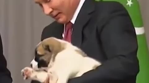 Putin Get Amazing Puppy Gift Ukraine nuclear power plant .