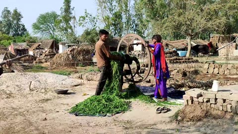 Poor Women's Hut In A Village In Uttar Pradesh {} Real Life India UP Village {} Up Rural Life