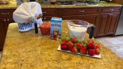 Funny Great Dane Samples Florida Strawberry For Homemade Jam Recipe
