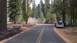 Lassen Volcanic National Park Tree Cutting