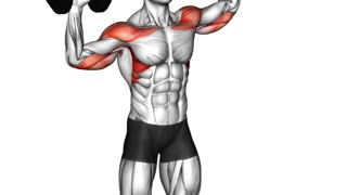 Build Powerful Shoulders #shoulderexercises #fitnessgoals #upperbodyworkout