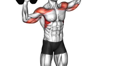 Build Powerful Shoulders #shoulderexercises #fitnessgoals #upperbodyworkout