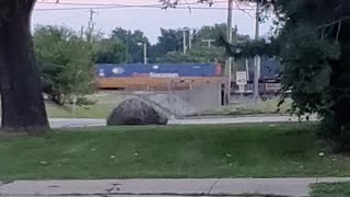 Michigan trains