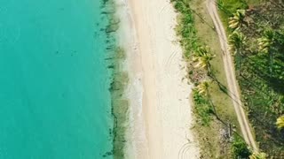 Beach life in the Caribbean