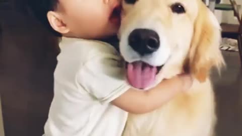 Adorable Babies Love Dogs Compilation