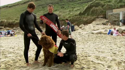 Man vs Dog: The Life Saving Challenge | Extraordinary Animals | Series 2 | BBC Earth