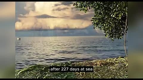 Boy and a tiger were stranded at sea for more than 200 days | Movie Recaps Part 5