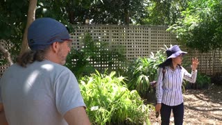 Secrets of Mayan Jungle Garden