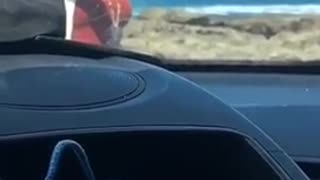 Girl with pink iphone takes selfies on beach