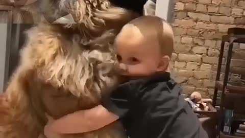 A child hugs a big dog