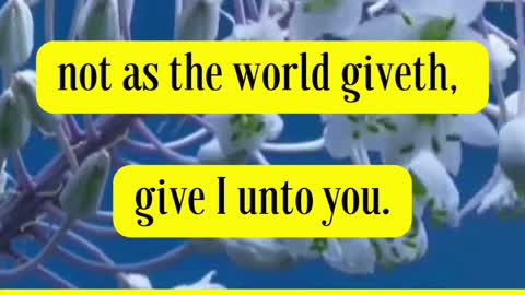 Jesus Said Peace I leave with you, my peace I give unto you: not as the world giveth...