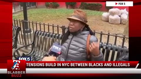 Tensions Build In NYC Between Blacks And Illegals