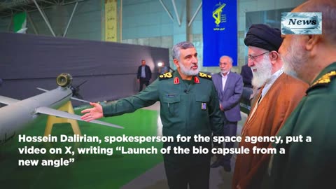 Iran Sends Animals Into Orbit On New Capsule, Eyes Human Space Missions By 2029 Amid US Sanctions