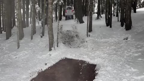 Camping alone in the falling snow. Oven-roasted chicken. Woodwork