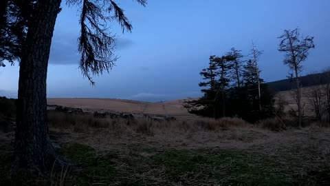 Dartmoor wildcamping pictures March 2022 part 1
