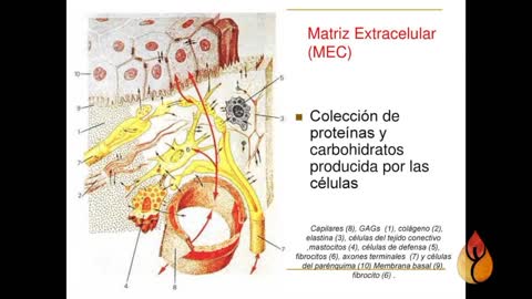 METASTASIS.... UNA MENTIRA FABULOSA MUY REDITUABLE PARA LOS MEDICOS QUE OPERAN EN REITERACION REAL