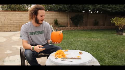 Pumpkin Bong