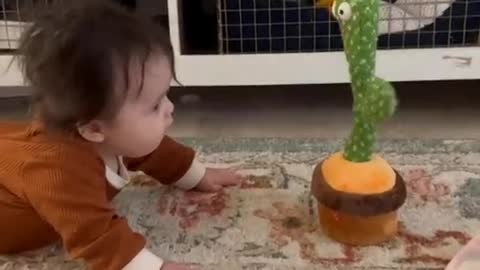 Dancing Cactus toy