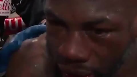 Tyson Fury knockout deontay wilder