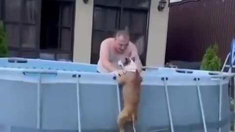 WHEN YOU KNOW YOUR DOG LOVES WATER!
