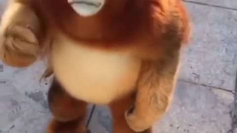 É um macaco ou um ursinho de pelúcia?