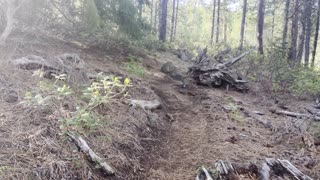 Climbing Deschutes National Forest – The Black Butte Trail – Central Oregon – 4K