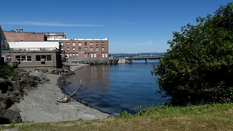 Another Gorgeous Day In Port Townsend. June 25th 2022