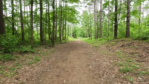 🟩 Greenbelt Trails In Ottawa 🦌