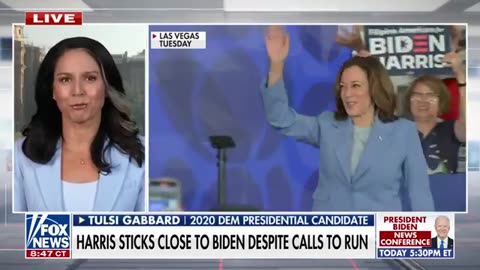 Tulsi Gabbard_ This is a big red flag