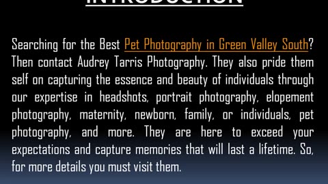 Best Pet Photography in Green Valley South
