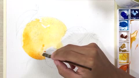 Master paints a delicate orange with watercolor 2