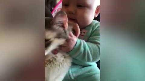 Cute Baby And Cat Are Best Friend