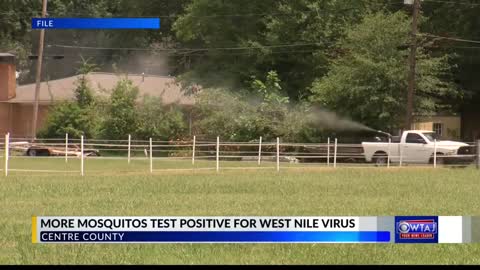 More mosquitos found positive for West Nile virus