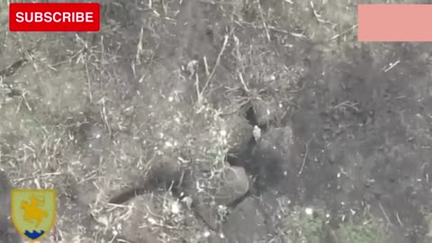 Shocking video from Ukraine:Ukrainian soldiers capture and destroy Russian soldiers