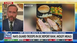 Michael Waltz On "Fox & Friends"